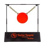 TaylorTargets_Gong_1