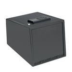 NWEB--TWO-GUN-KEYPAD-VAULT.jpg