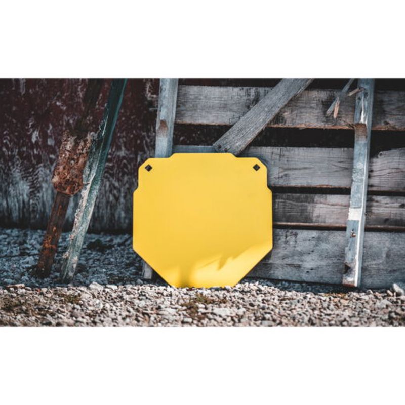 Caldwell-AR500-13--Octagon-Target.jpg