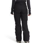 The North Face Freedom Insulated Pant - Women's 