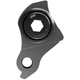 SRAM Universal Derailleur Hanger.jpg