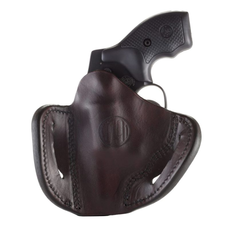 holster4