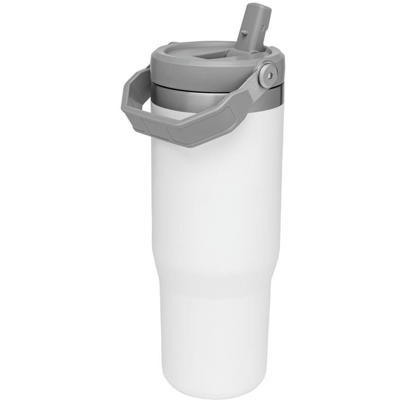 STANLEY The IceFlow 30 oz Flip Straw Tumbler - Eastern Mountain Sports