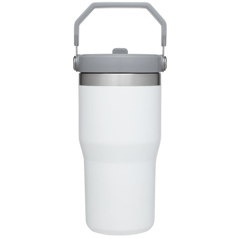 Review Stanley Ice Flow Water Bottle Tumbler with Straw 30 oz