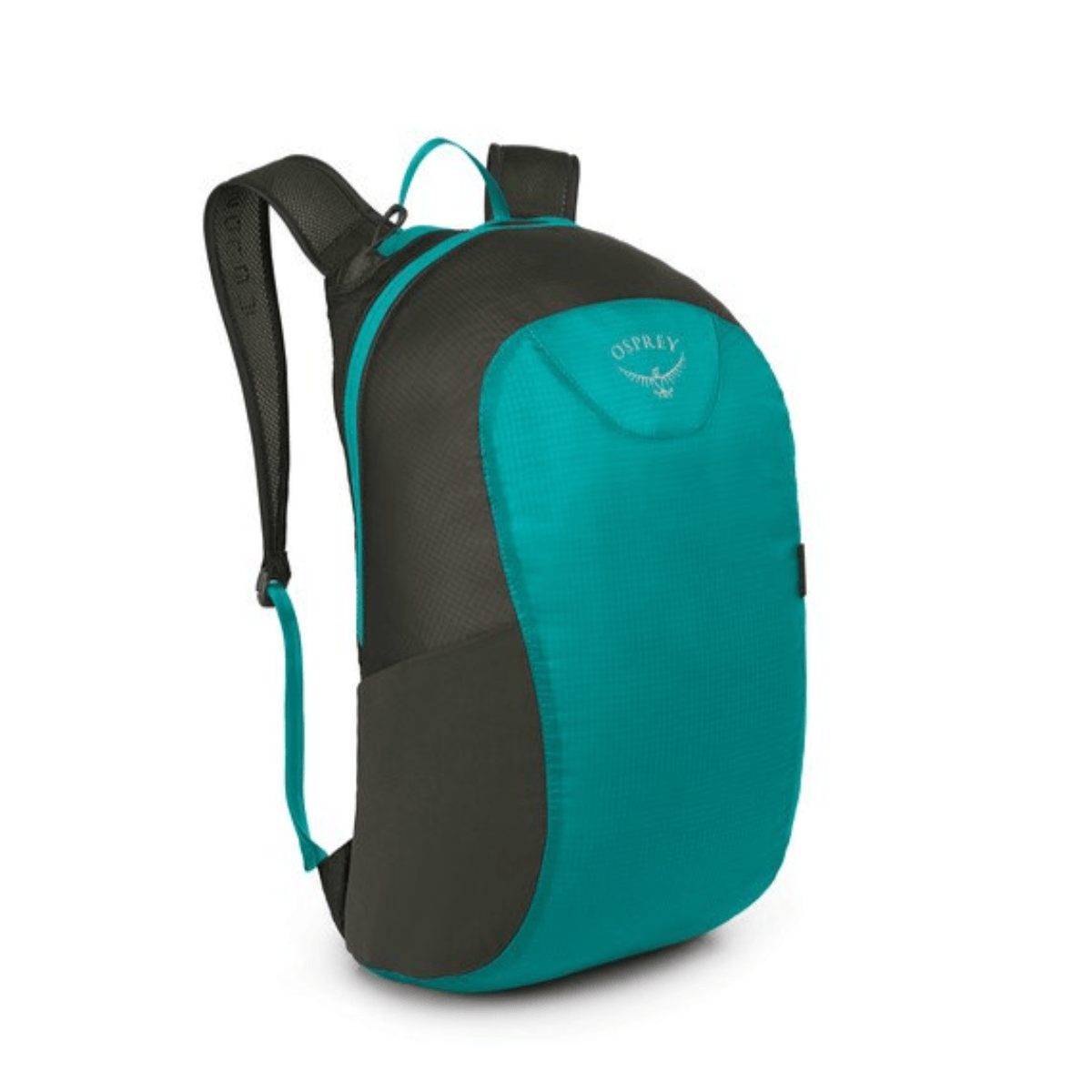 9. The Ultimate Space Saver: Packable Day Pack For Efficient Packing