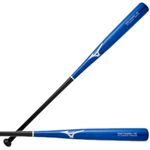 Mizuno Pro Fungo Bat 37.jpg