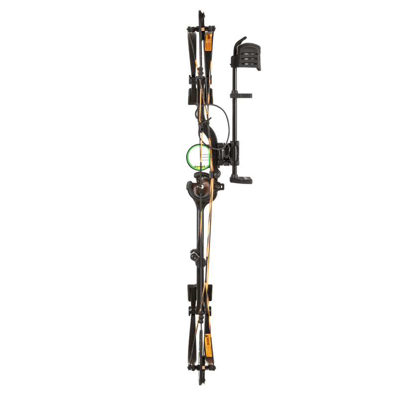 Bear-Archery-Royale-Compound-Bow.jpg