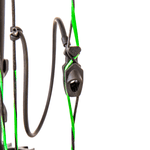 Bear-Archery-Legit-Compound-Bow.jpg