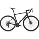 Specialized Roubaix Comp Bike - 2021.jpg