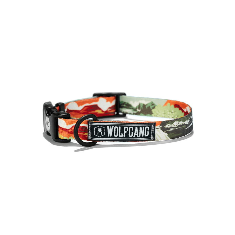 Wolfgang hotsell dog collar