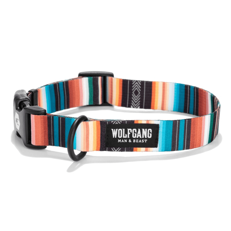 NWEB---WOLFGA-LOSTART-DOG-COLLAR.jpg
