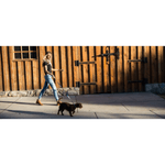 NWEB---WOLFGA-DAYDREAM-DOG-LEASH.jpg