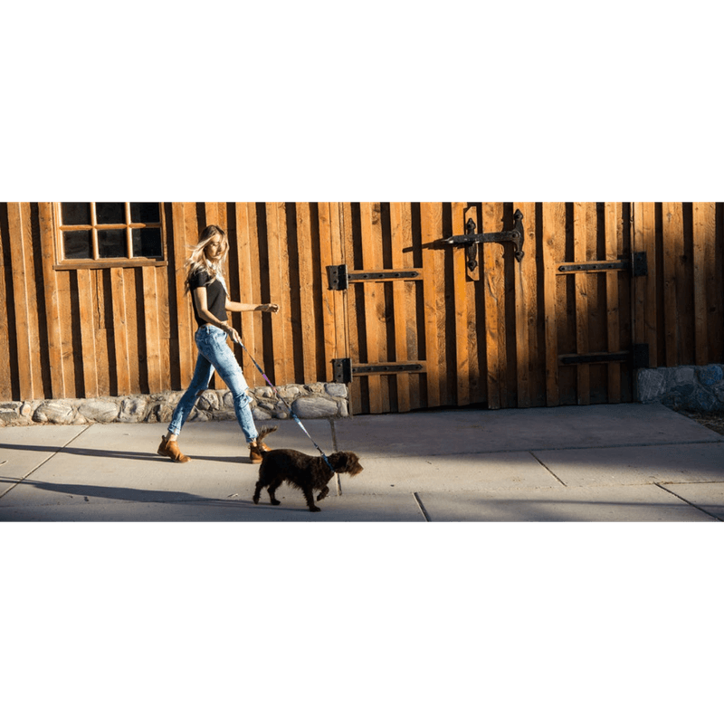 NWEB---WOLFGA-DAYDREAM-DOG-LEASH.jpg