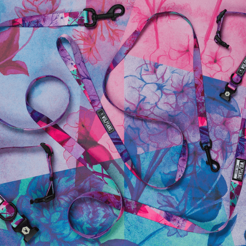 NWEB---WOLFGA-DAYDREAM-DOG-LEASH.jpg