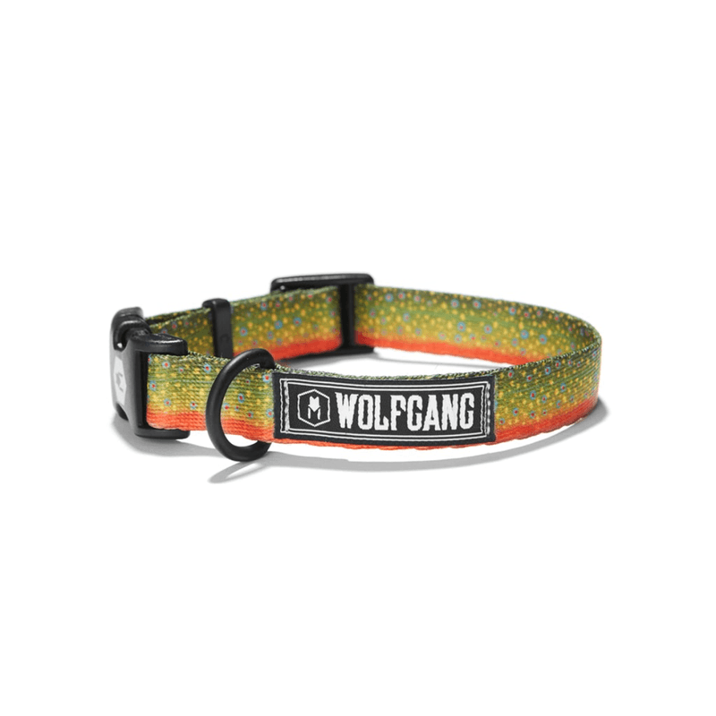 NWEB---WOLFGA-BROOKTROUT-DOG-COLLAR.jpg