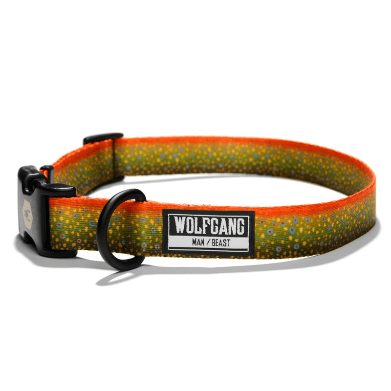 NWEB---WOLFGA-BROOKTROUT-DOG-COLLAR.jpg