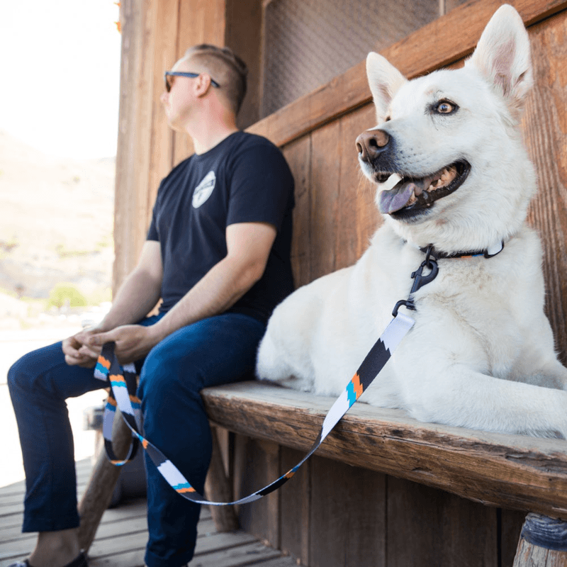 NWEB---WOLFGA-BIGSHOCK-DOG-LEASH.jpg