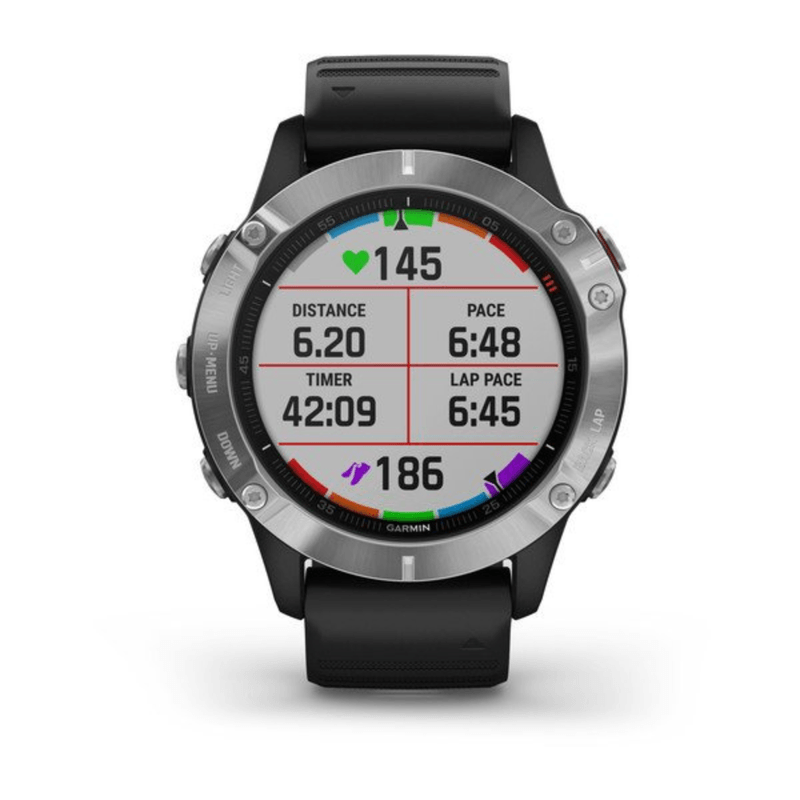 Garmin Fenix 6 Standard Edition Watch 